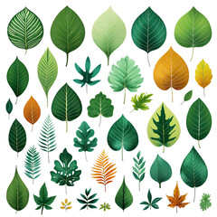 Flat line icon set of leaves for UI design and branding on white background