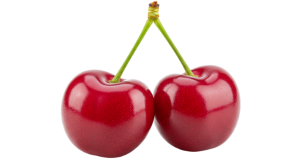 Two luscious cherries cling sweetly a symbol of summer s brief joy their deep red whispers of on transparent background