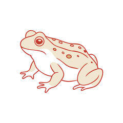 Cartoon Common Toad Illustration Isolated on White