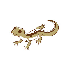 Cute Cartoon Fire Salamander Illustration Isolated