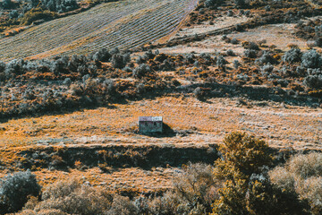 Telephoto view of a solitary small abandoned stone hut with a rusty roof, surrounded by golden dry...