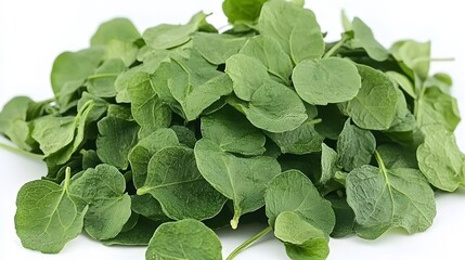 Fototapeta premium Fresh Green Leafy Vegetable Pile Close Up Shot