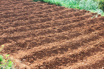 Prepared soil, ready for planting. Plowed furrows, showcasing the earth's texture. Earthy tones and gentle ridges, a testament to agricultural preparation