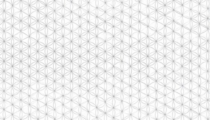 Flower of Life Geometric Seed Pattern