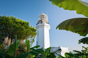 Beautiful view of the white lighthouse in Batumi, Georgia, surrounded by tropical vegetation and blue sky.