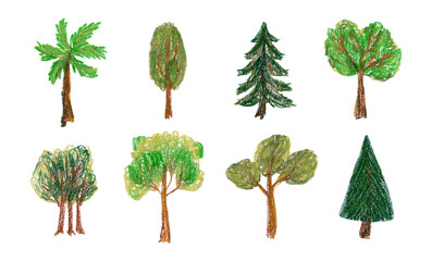Cute botanical hand drawn oil pastel textured deciduous and coniferous trees set. Bright painted fir, oak, palm, maple, cedar, chestnut plants element for nature sticker, poster design, logo