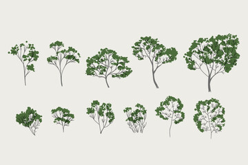 Obraz premium Set of trees vector graphic, background, clipart, facades, garden, landscape, nature.