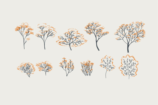 Set of trees vector graphic, background, clipart, facades, garden, landscape, nature.