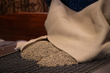 Raw coffee beans being poured from a burlap sack during the roasting process at a coffee factory....