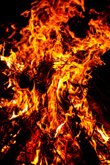 Wood fire and flame at camping 