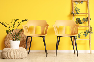 Chairs, houseplant on pouf and ladder near yellow wall in room