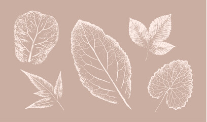 Fototapeta na wymiar Pink tan and brown floral prints of botanical illustration. Decorative set of flowers and leaves pressed or stamped.