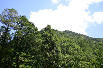 風薫る五月の空