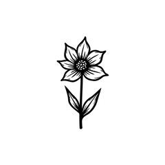Elegant botanical sketch featuring a singular stylized flower illustration
