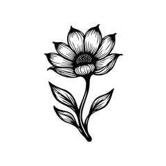 Elegant botanical line drawing showcases intricate floral details with organic charm