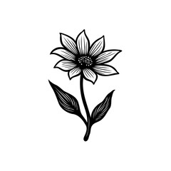 Elegant botanical illustration of a flower with intricate petal and leaf details