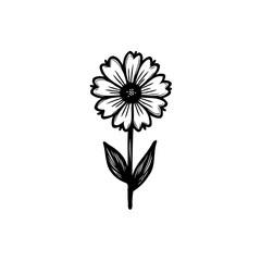 Detailed floral drawing presenting a serene aesthetic and minimalistic art