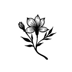 Elegant minimalist floral illustration with blooming flower and delicate leaves