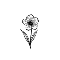 Delicate botanical illustration featuring a stylized floral composition and leaves