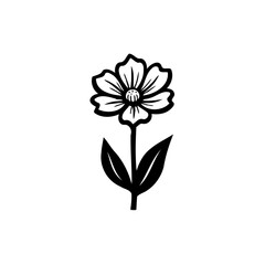 Elegant floral line art illustration with minimalist design and botanical elements
