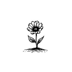Simple black and white botanical illustration of a blooming flower on a white background