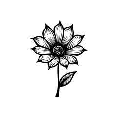 Elegant monochrome floral illustration with intricate line work and delicate petals
