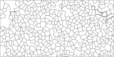 Abstract cellular pattern created using overlapping black lines that form irregular polygon shapes over a bright white background and texture.