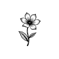Elegant floral illustration with detailed petals and textured leaf artwork