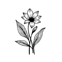 Elegant floral line art with delicate petals and textured foliage illustration