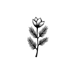 Delicate Floral Illustration: A Minimalist Botanical Drawing in Black and White