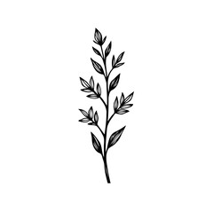 Botanical illustration of a stylized branch with leaves isolated on white background