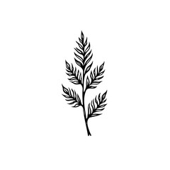 Elegant botanical illustration featuring delicate black leaves on a white background