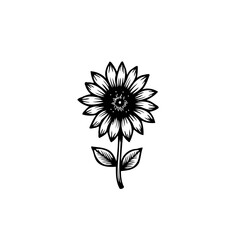 Elegant Sunflower Bloom: A Detailed Black and White Botanical Illustration