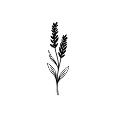 Elegant botanical artwork featuring a minimalist lavender sprig illustration