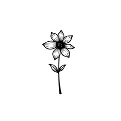 Simple floral illustration with delicate line work creates a minimalist aesthetic
