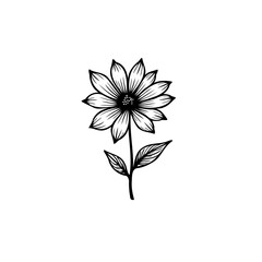 Elegant botanical illustration of a detailed flower with a minimalist design