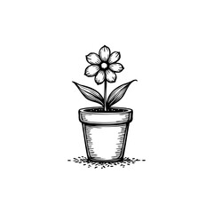 Elegant floral illustration showcasing a delicate flower in a terracotta pot