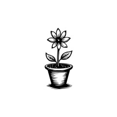 Monochrome botanical illustration of a flower in a pot evoking vintage simplicity