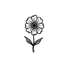 Elegant Single Black and White Floral Illustration with Delicate Line Work