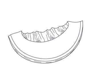 Melon Coloring Page: Stress relief coloring page for adults and kids. Ready to print on standard 8.5x11 inch paper