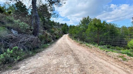 Obraz premium A beautiful and scenic dirt road that is completely surrounded by lush, vibrant nature