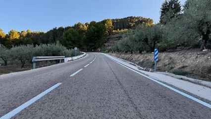Scenic twisting mountain road lined with vibrant olive trees against a stunning backdrop
