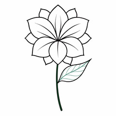 Obraz premium vector illustration of a flower