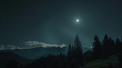 Fototapeta premium Enchanted Reverie: A Nocturnal Tapestry Woven Around the Castle Under Moonlight
