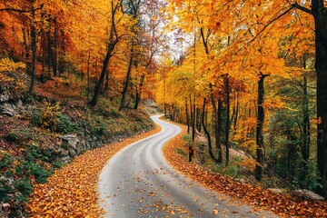 Obraz premium Autumn Winding Road Through Colorful Forest
