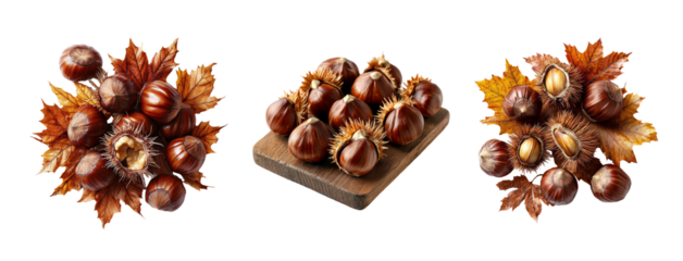 Fresh Chestnuts on Leaves with Transparent Background for Food Design