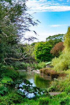 Tropical garden with pond and lush green trees Colomba zoo