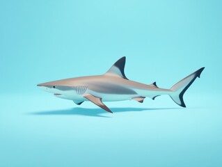 Fototapeta premium Shark floating in calm waters