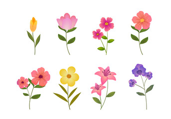 Spring colorful flowers and plants, floral wildflower, branch hand drawn vector illustration. Beautiful blossom for decor, easter, banner and prints.