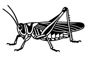 grasshopper  silhouette vector